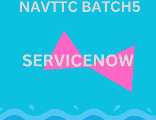 NAVTTC Batch 5 Service Now