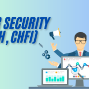 Cyber Security (CEH, CHFI)